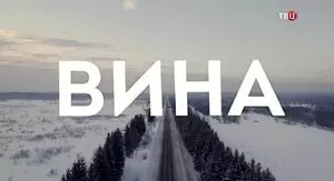 Вина (2022)